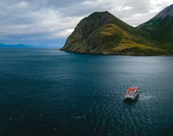 Cena en el Estrecho de Magallanes